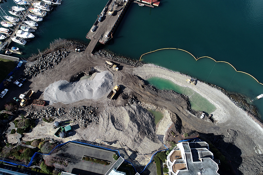 Middle Harbour Remediation