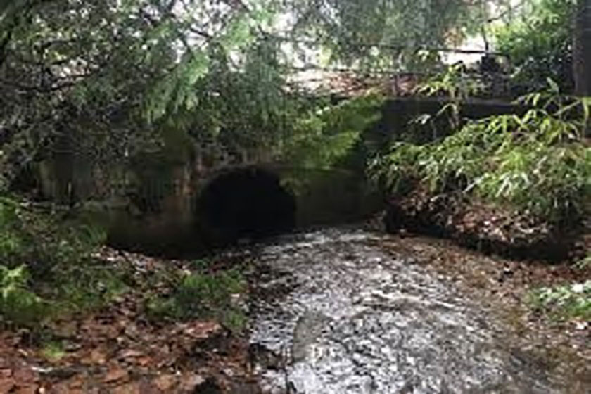 Gallant Creek Sediment Basin