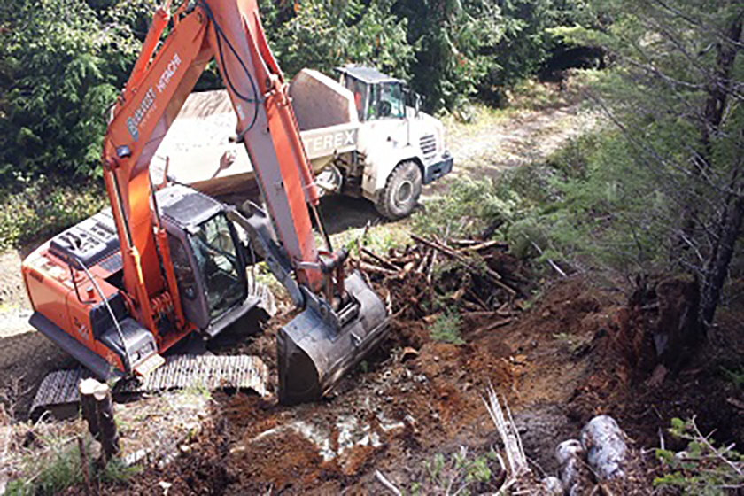 Mount Blenheim Excavation