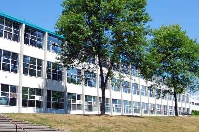 School-Tree-Canada