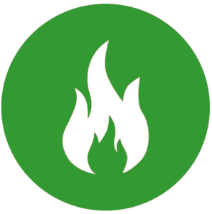 Flame Icon